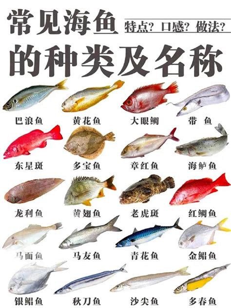 魚的品種|最常見的50種食用魚，別再說你不認識，好好看看，你。